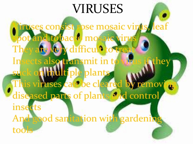 Bacteria clipart harmful bacteria. Soil organisms there benifficial