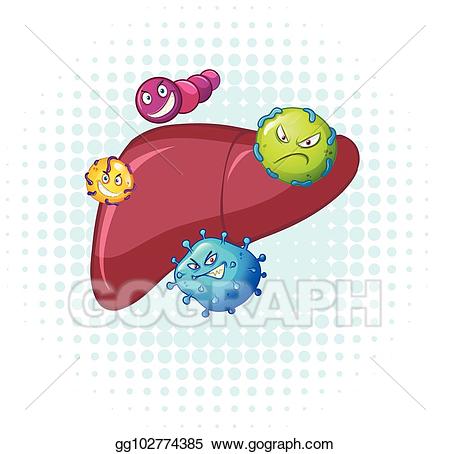 Bacteria clipart human. Vector art in liver