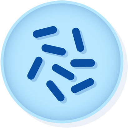 Bacteria clipart listeria. Microbiologics p monocytogenes derived