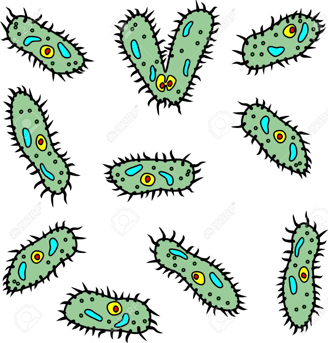 Pencil and in color. Bacteria clipart magnifying glass