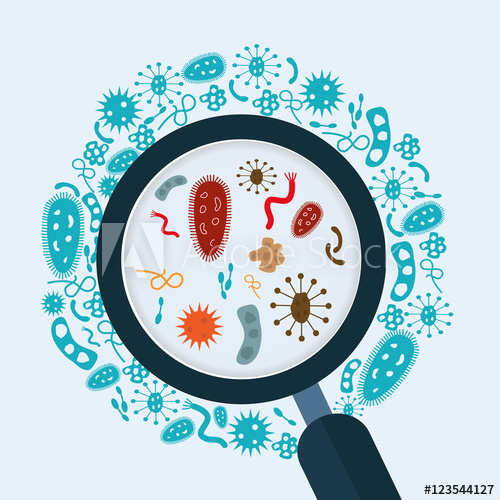 Bacteria clipart magnifying glass. Magnifier with microbes and