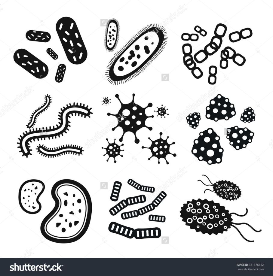Unbelievable pics for coloring. Bacteria clipart microbiology