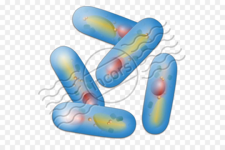 Bacteria clipart microbiology. Computer icons clip art