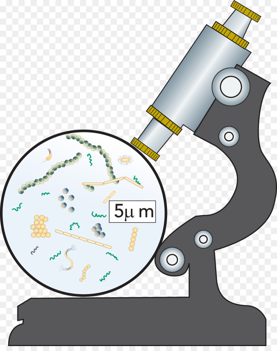 Cartoon technology transparent clip. Bacteria clipart microbiology