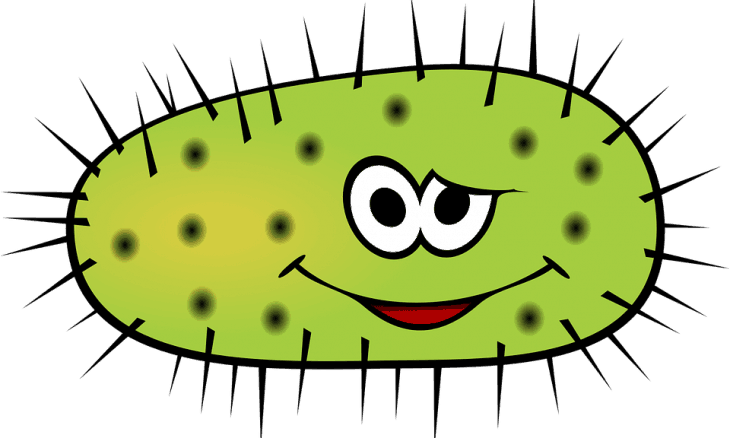 bacteria clipart microorganism