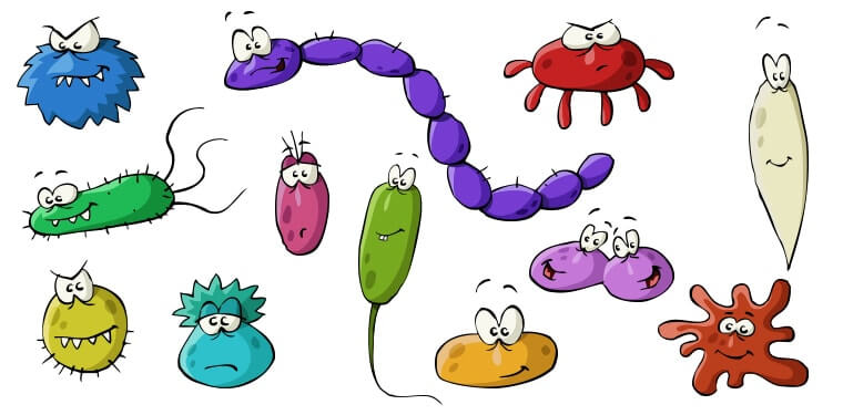 Symptoms of parasite infections. Bacteria clipart parasitic