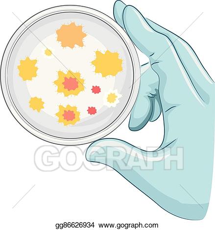 Eps vector hand glove. Bacteria clipart petri dish
