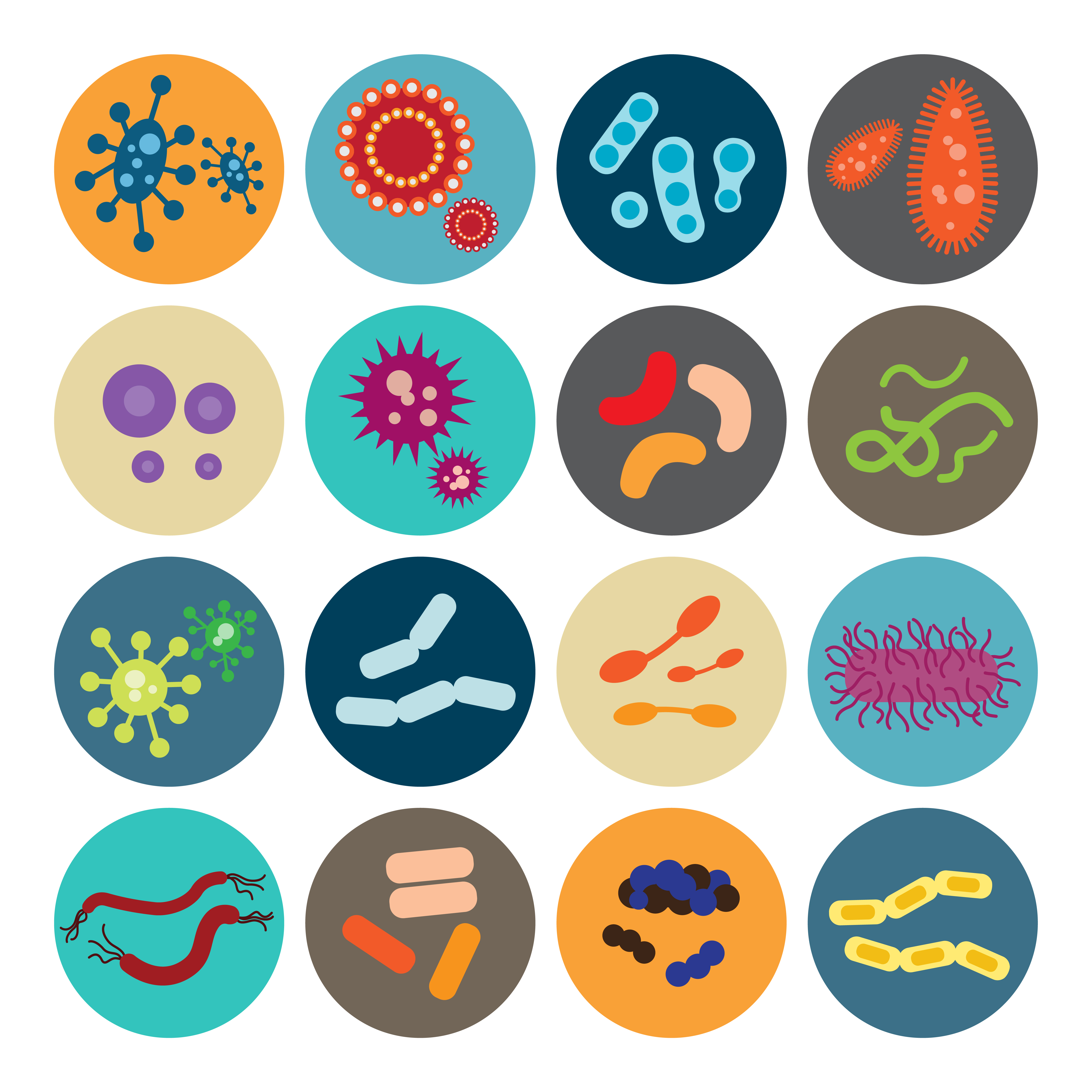 When infection overwhelms harvard. Bacteria clipart sepsis