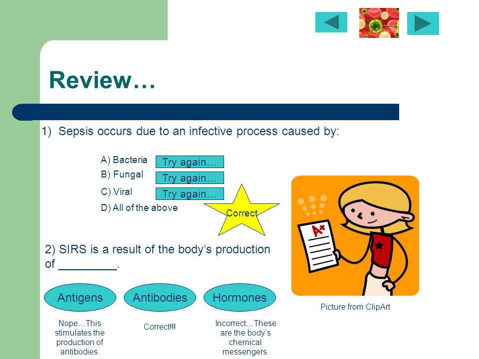Prevention msn advanced physiology. Bacteria clipart sepsis