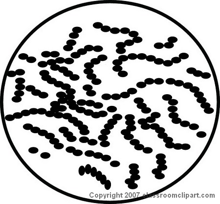 Bacteria clipart streptococcus. Ae bw clipartpost 