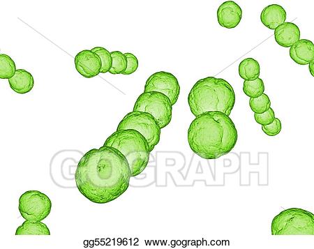 Stock illustration drawing . Germ clipart streptococcus