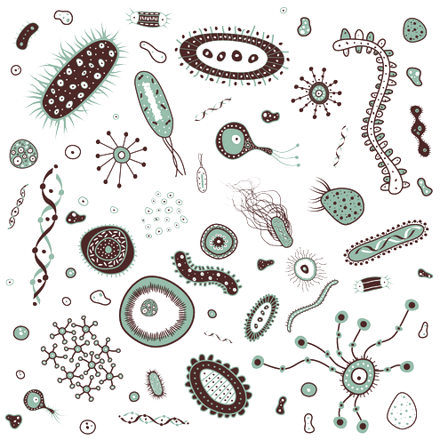 Download png images free. Bacteria clipart transparent background