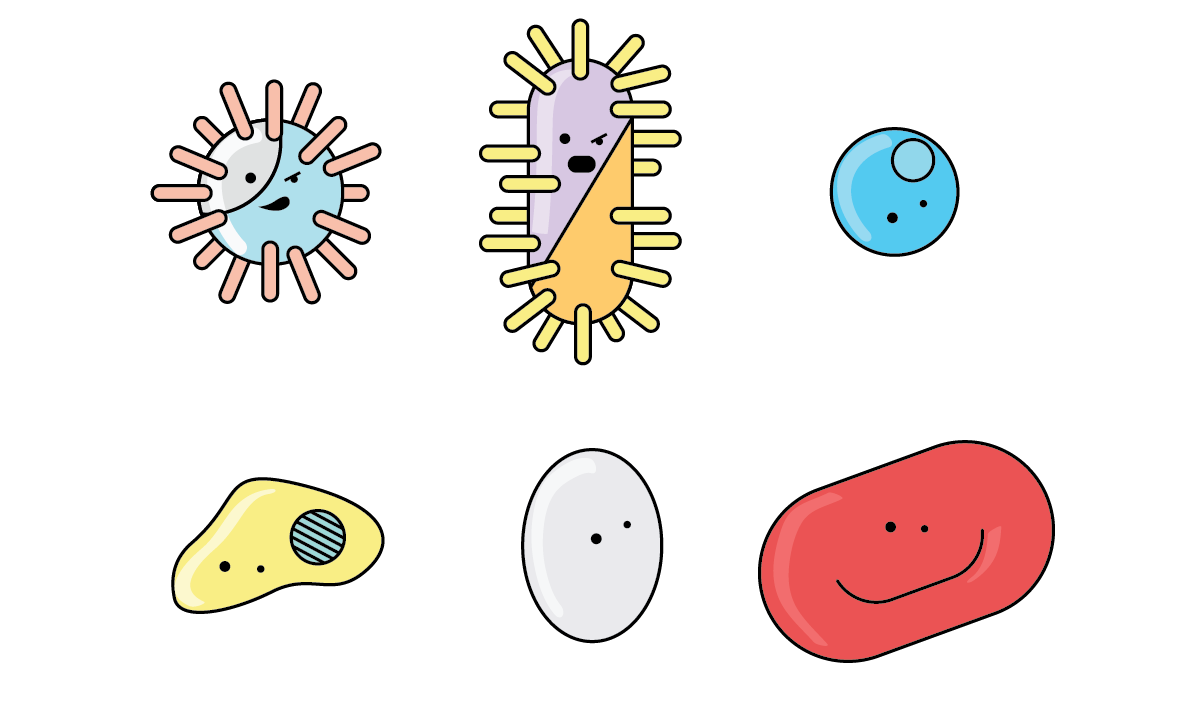 Pencil and in color. Bacteria clipart transparent background