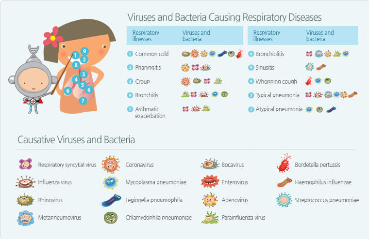 Seegene why should i. Bacteria clipart viral infection