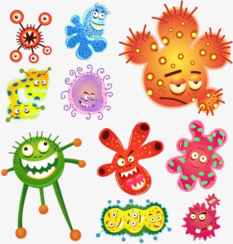 Bacterial cartoon microorganism png. Bacteria clipart virus