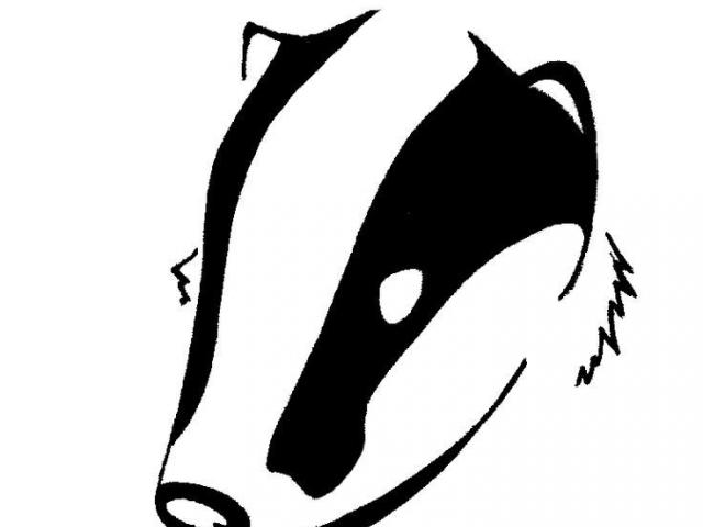 Free download clip art. Badger clipart badger face