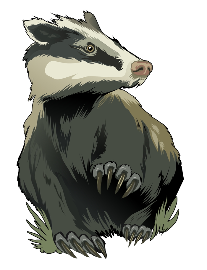 Cute clipart badger. 