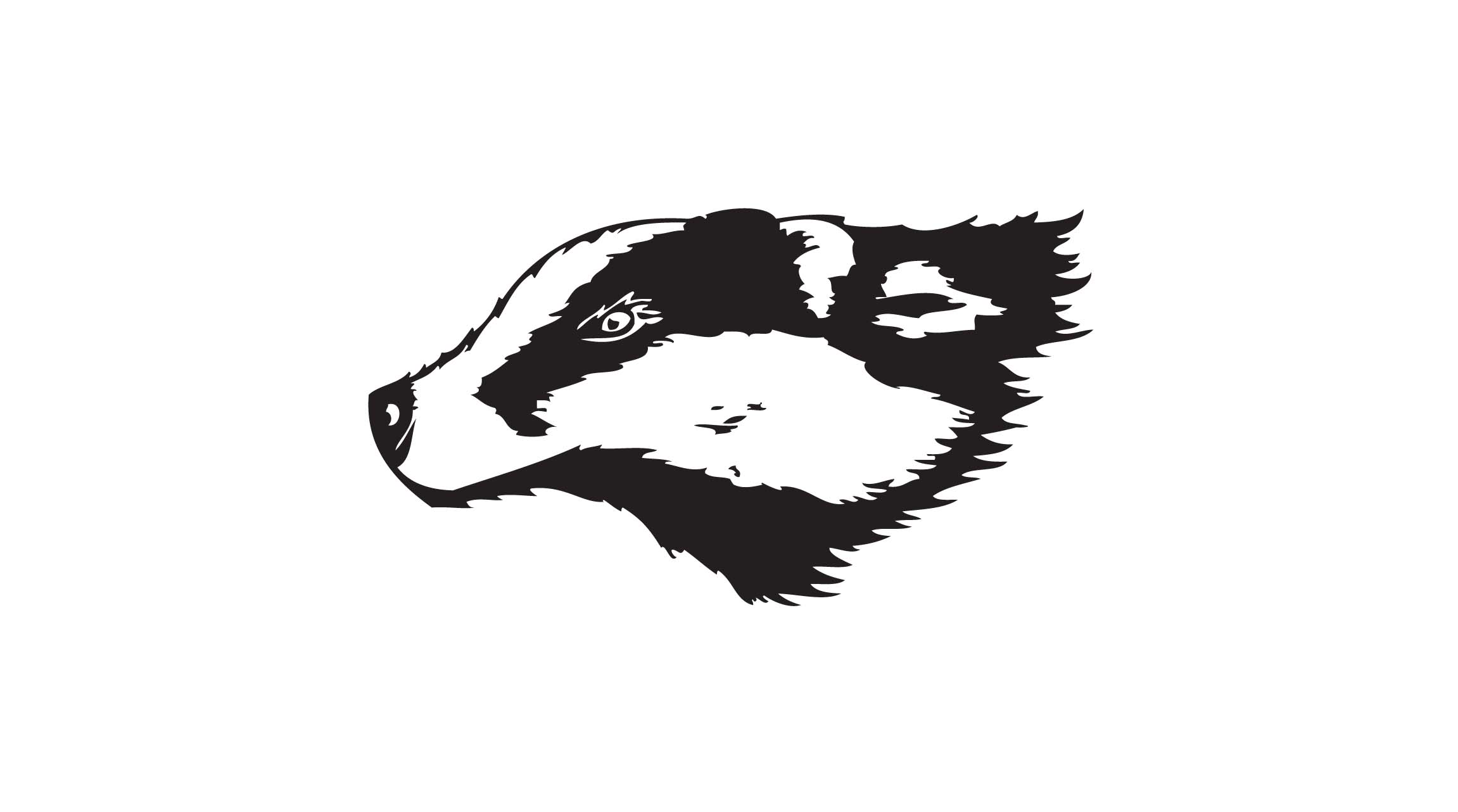 badger clipart vector