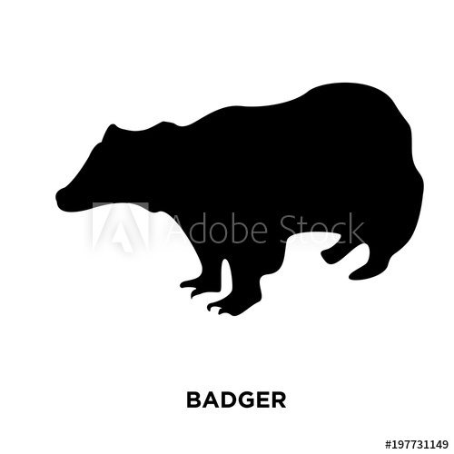 Silhouette on vector illustration. Badger clipart white background