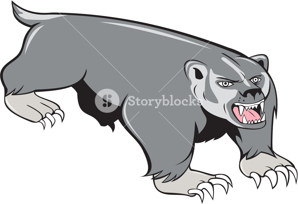 Illustration of a pouncing. Badger clipart white background