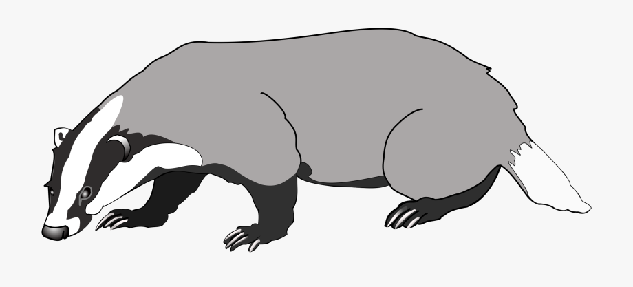 Image result for no. Badger clipart white background