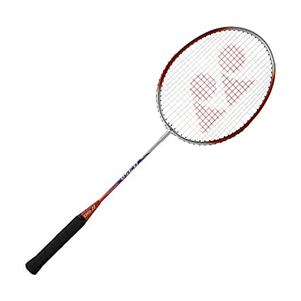 badminton clipart bat