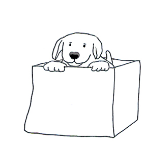clipart dogs box
