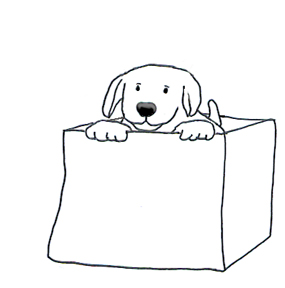 ball clipart box