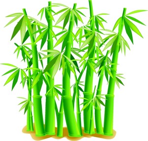 Free cliparts download clip. Bamboo clipart