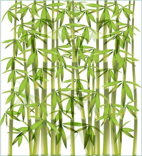 Bamboo clipart. Free and vector graphics