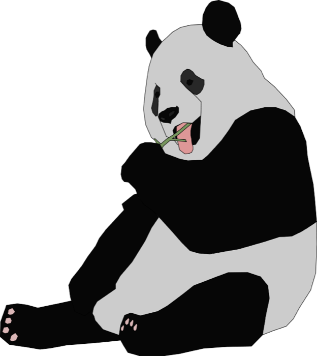 Panda little panda