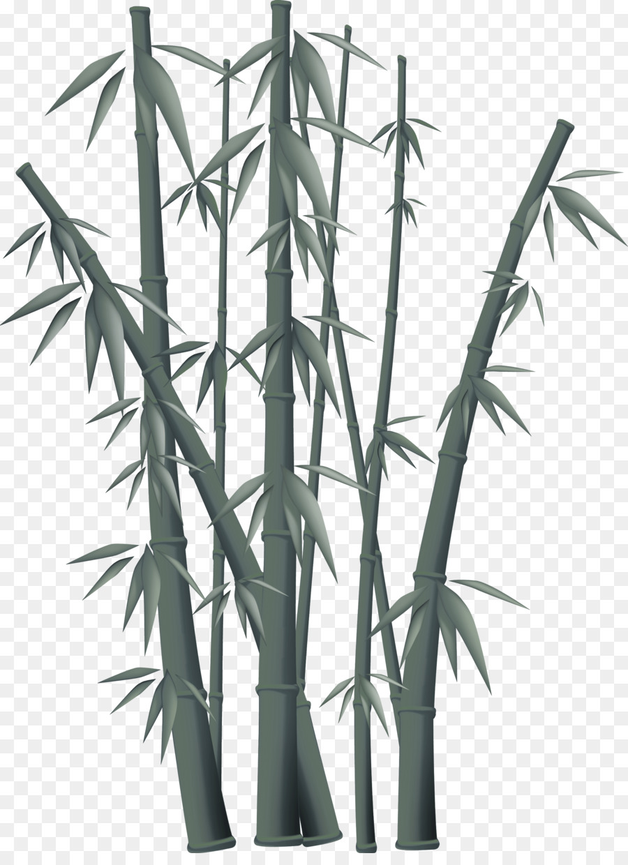 bamboo clipart bamboo chinese