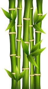bamboo clipart bamboo cross