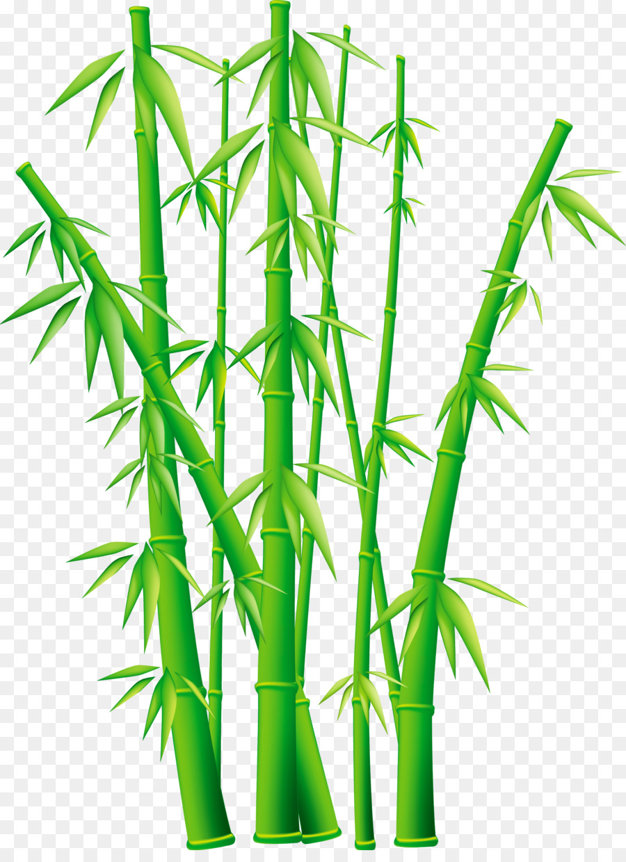 bamboo clipart bamboo grass
