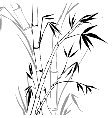  collection of outline. Bamboo clipart bamboo leaf