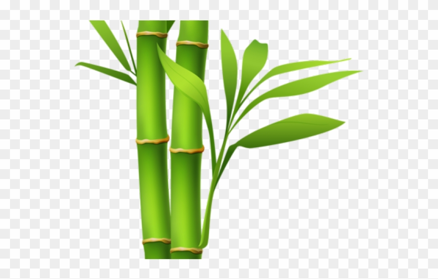 bamboo clipart bamboo pole