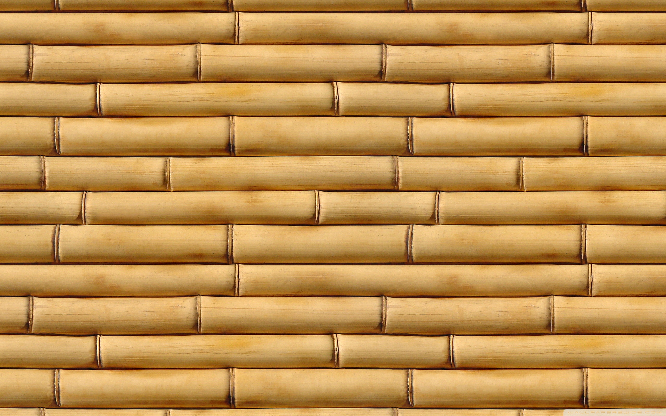 bamboo clipart bamboo pole