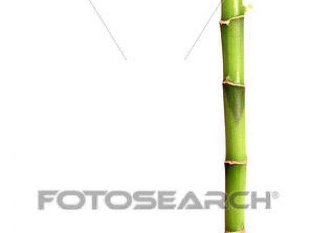 Free download clip art. Bamboo clipart bamboo pole