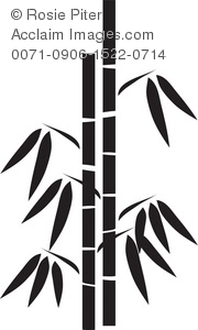 Bamboo clipart bamboo shoot. Www acclaimimages com gallery