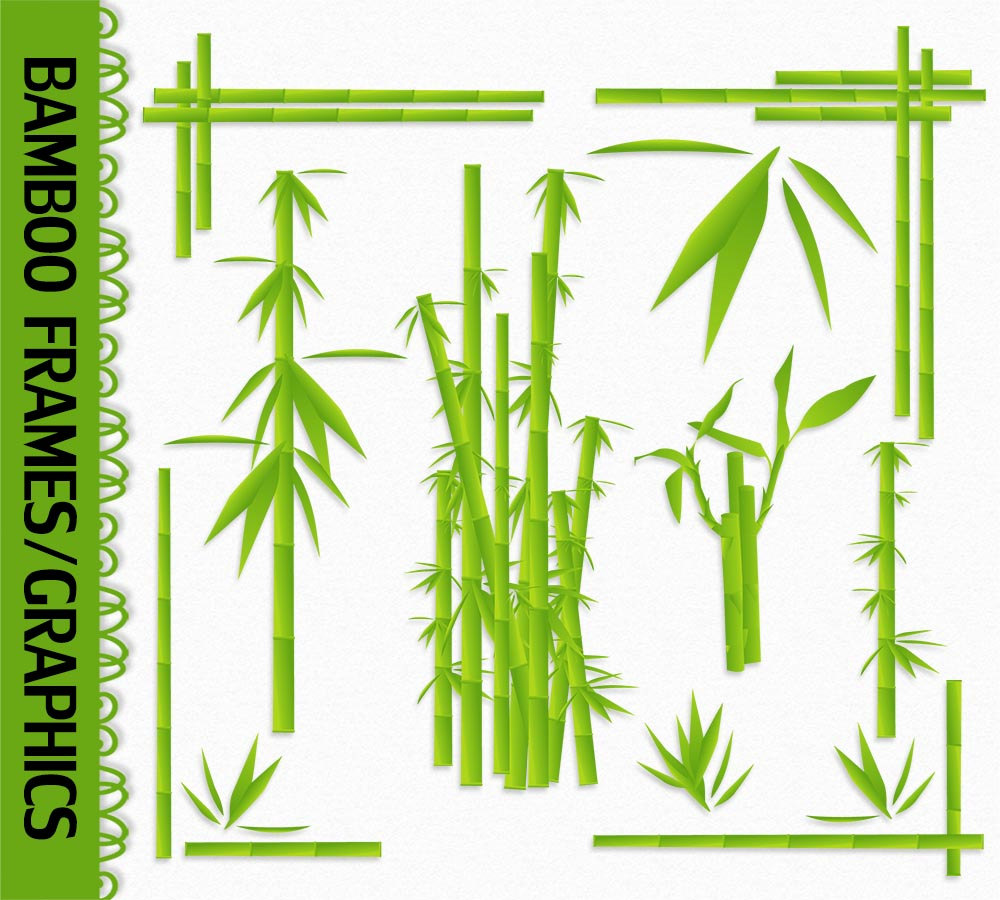 Bamboo bamboo stem
