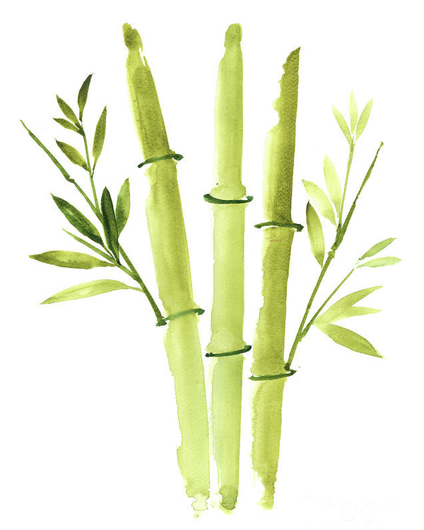 bamboo clipart bamboo stick