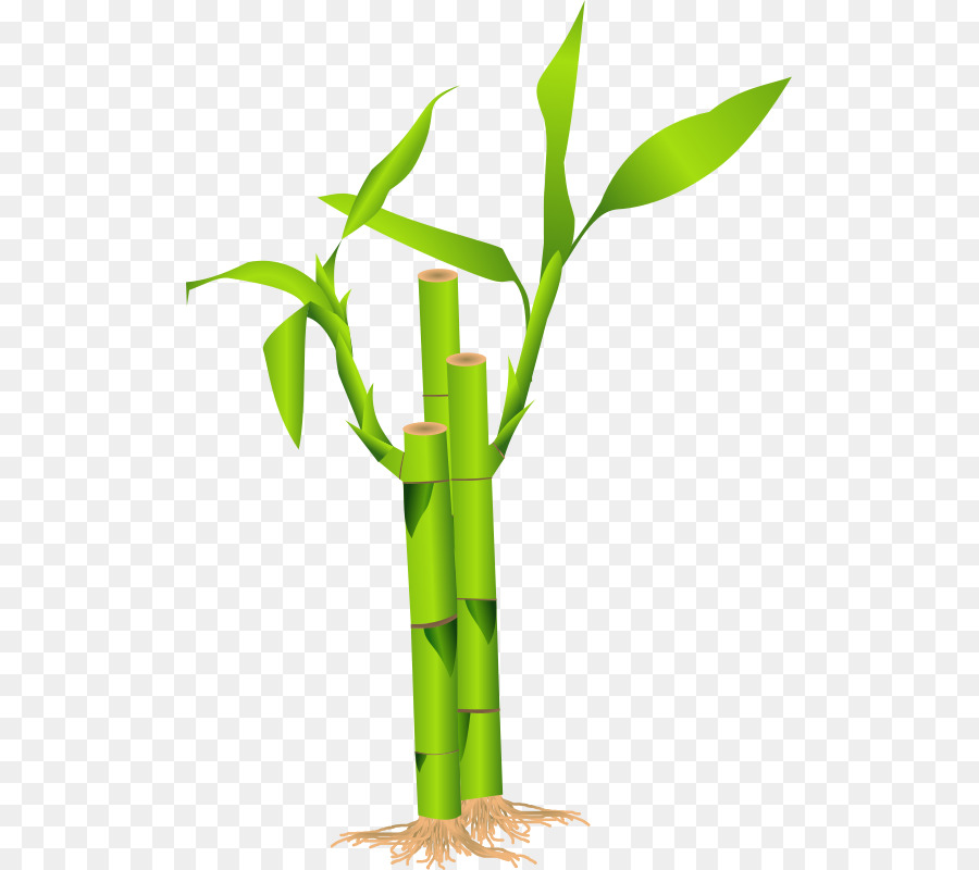 bamboo clipart bamboo stick