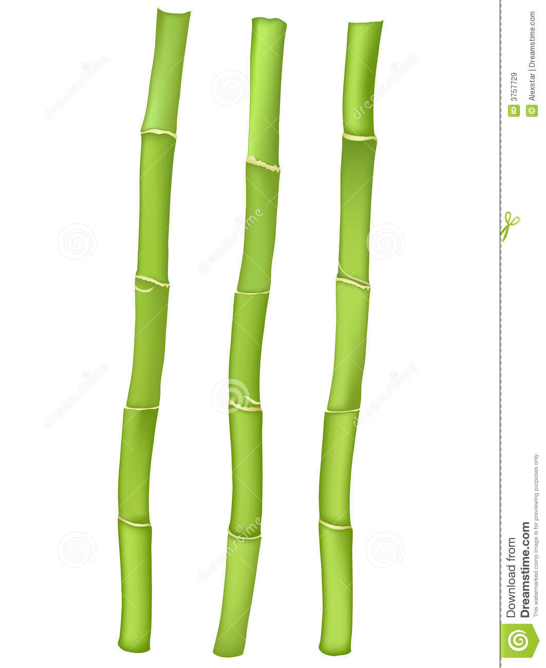 Bamboo bamboo stick
