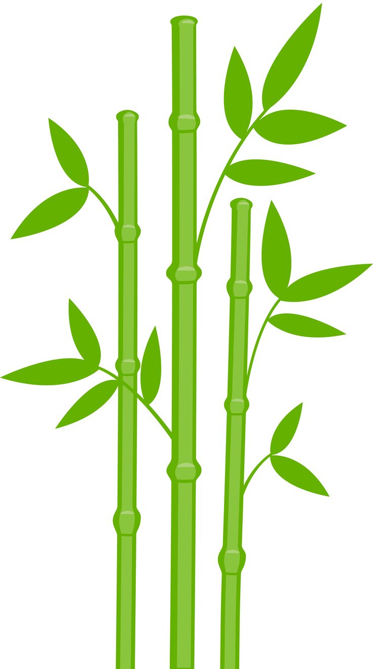 bamboo clipart bamboo tree