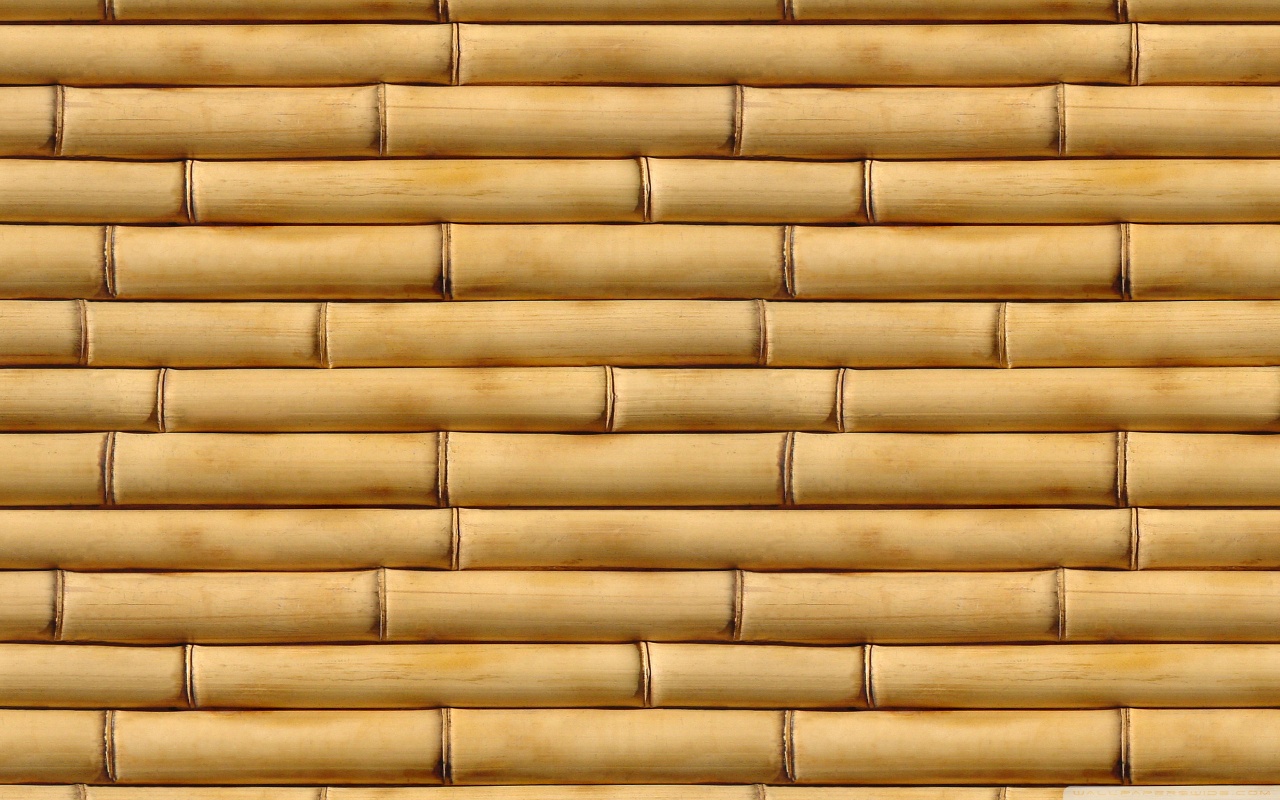 bamboo clipart bamboo wallpaper