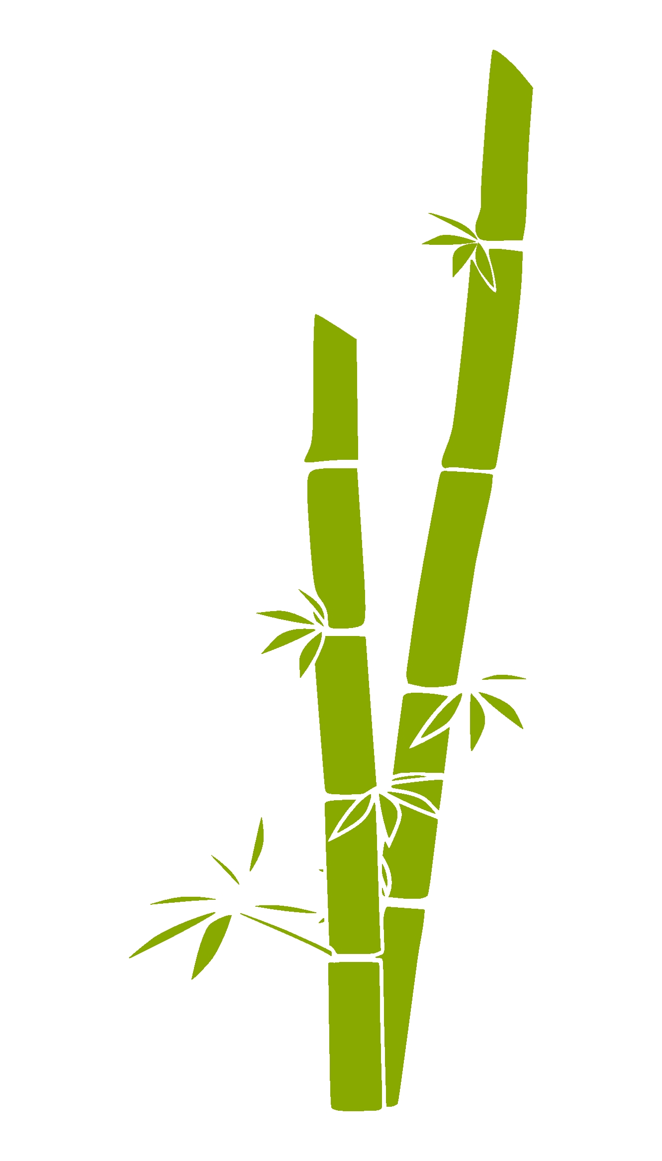 Bamboo clipart boarder. Best of collection digital