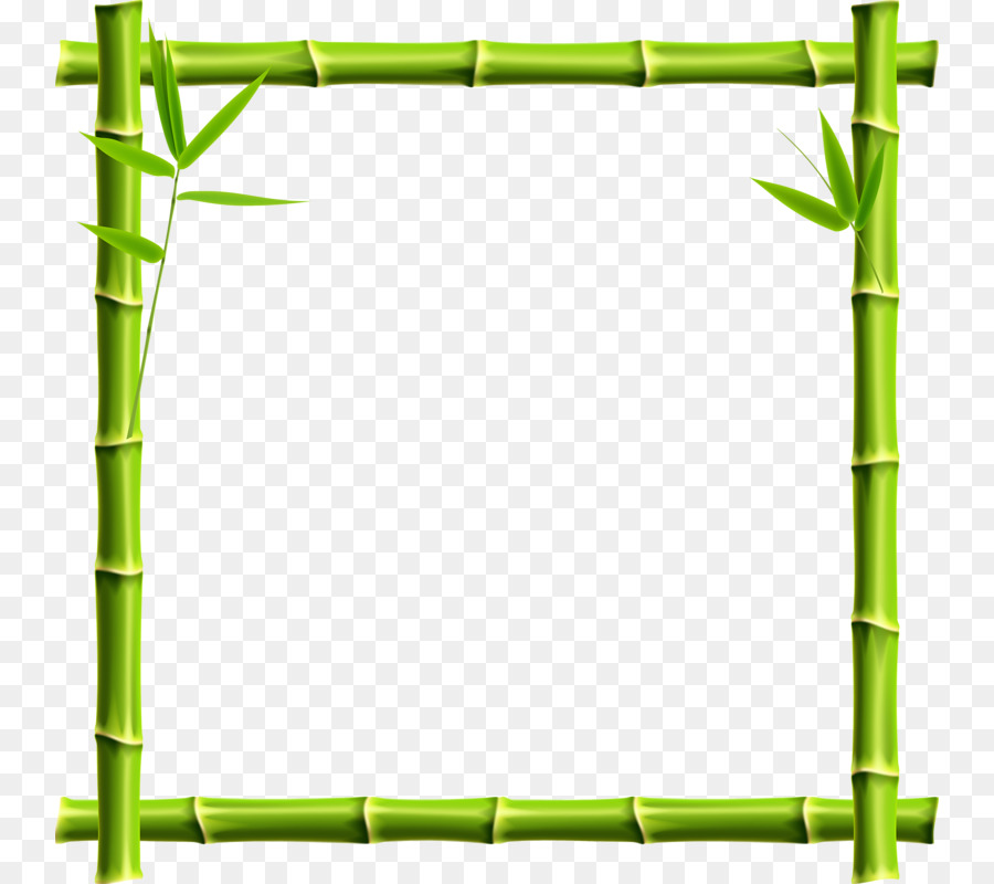 bamboo clipart borders