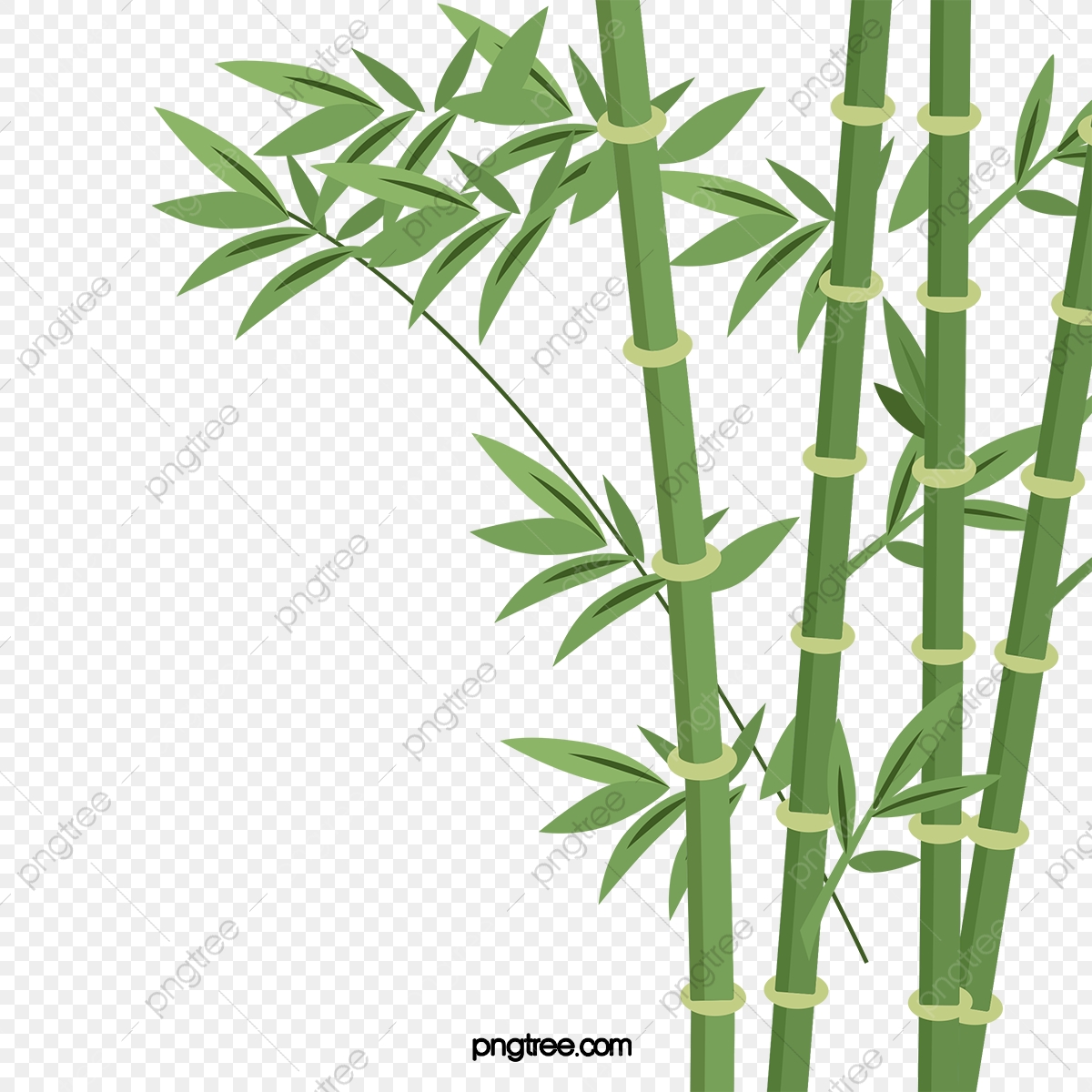 bamboo clipart cartoon