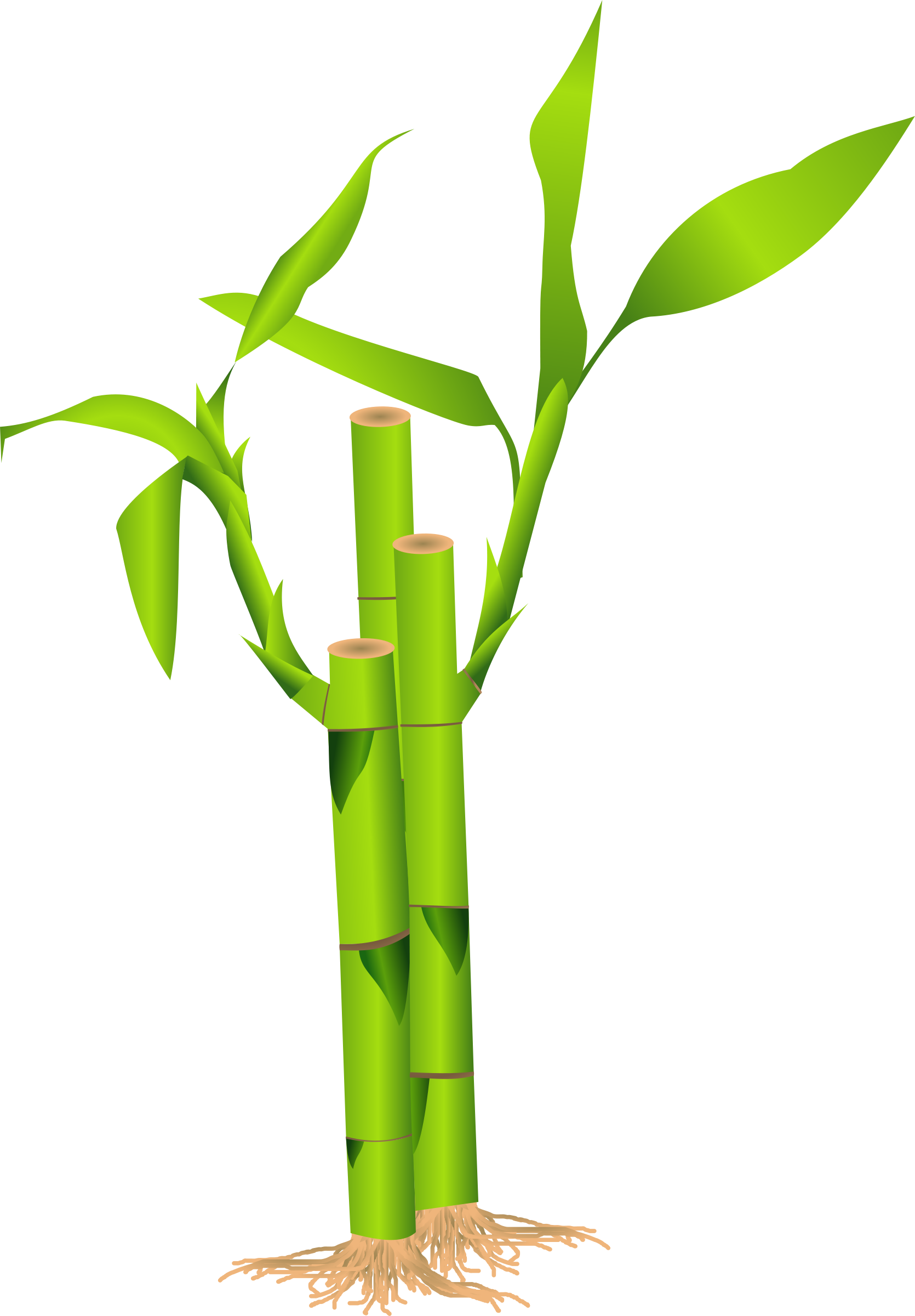 One bamboo