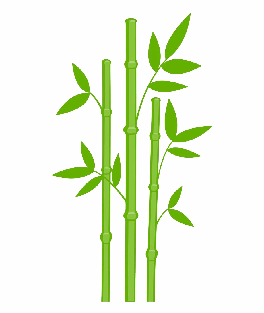 Drawing leaves library . Bamboo clipart clip art